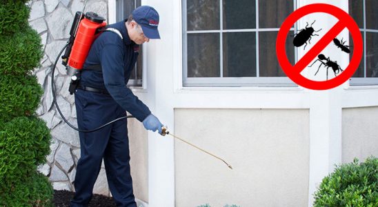 Ağlasun Fare İlaçlama böcek ilaçlama ve haşere kontrolü — ilaclama-tr.com